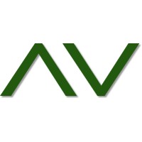 AfroVibes Media logo - Similar company to Ywa Content