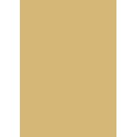 Canelle Studio logo - Similar company to Studio Cannelle