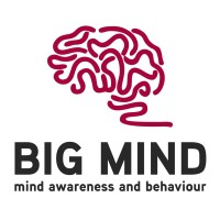 Big Mind- Mind Awareness And Behavior logo - Similar company to Iclt - International Center Of Languages And Training