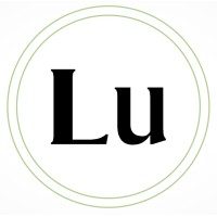 Lumora Insights logo - Similar company to Payflix