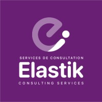 Elastik Consulting Services logo - Similar company to Sobezone