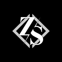ZSnart Tech Inc. logo - Similar company to Tk2000