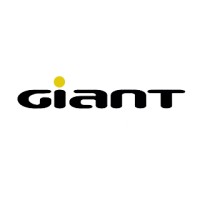 GIANT Consulting Engineers logo - Similar company to Giant Engineering Private Limited