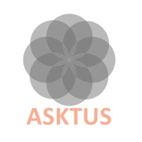 Asktus Customer Insights & Strategies