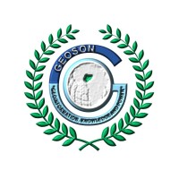 Geoinformation Society of Nigeria (GEOSON) logo - Similar company to Learnspace Foundation
