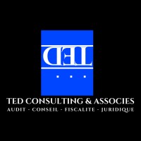 TED CONSULTING & ASSOCIES SARL logo - Similar company to Privilege Access Hub