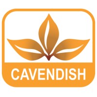 Cavendish Lloyd Zimbabwe logo - Similar company to Ethical Holdings