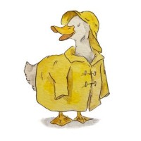 Lunt Illustrations