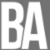 Brixton Agency logo - Similar company to Shared Vision Executives