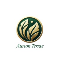 AURUM TERRAE logo - Similar company to Illiz - Immobilier Interactif