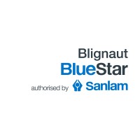 Blignaut BlueStar - Financial Advisory Services authorised by Sanlam logo - Similar company to Boerfin
