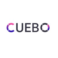 Cuebo logo - Similar company to Digital Domi