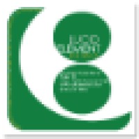 Lucid Element Multimedia