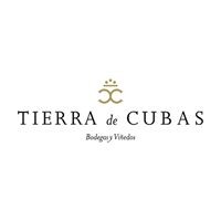 Tierra de Cubas logo - Similar company to Bodegas Care