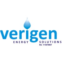 Verigen Energy Solutions Nigeria Limited (VES) logo - Similar company to Dharmattan Group