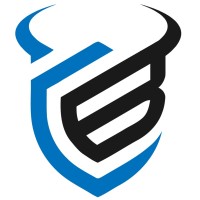 CyberBull logo - Similar company to Bluerydge