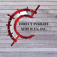 Direct Insight Services Inc. logo - Similar company to It Hoc Technologies