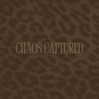 Chaos Captured