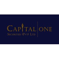 Capital One logo - Similar company to Green Touch Technology