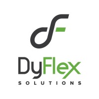 DyFlex Solutions logo - Similar company to Bluetree Solutions