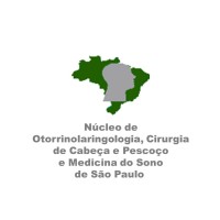 Núcleo de Otorrinolaringologia e Medicina do Sono de São Paulo logo - Similar company to Sonno Polissonografia Domiciliar