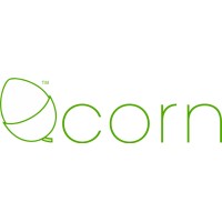 LITTLE ACORN SERVICES LIMITED logo - Similar company to Vortex Professional Ltd