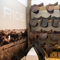 Ride Equestrian-Lifestyle-Sport