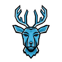 onetop GmbH logo - Similar company to Bär Tiger Wolf