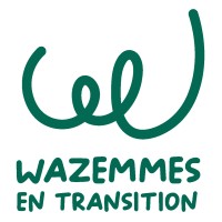 Wazemmes en transition