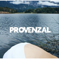 PROVENZAL logo - Similar company to Mayun S.A.S.