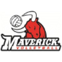 Maverick Volleyball logo - Similar company to Mindtrust Leadership