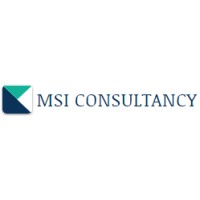 MSI CONSULTANCY logo - Similar company to Msi Funds