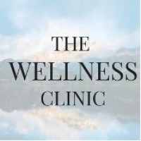 The Wellness Clinic Ireland logo - Similar company to Define Body & Mind