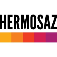 Hermosaz logo - Similar company to Ignixon Team