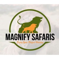 Magnify Safaris logo - Similar company to Cc Central
