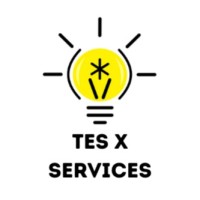 Tes X Services logo - Similar company to Xperts-Zone.Com