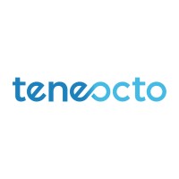 Teneocto Technologies logo - Similar company to Qamera Design - Ux Research, Design, Build