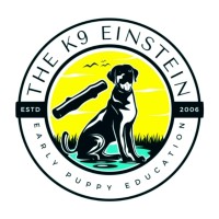 The K9 Einstein & Splash Lab logo - Similar company to Paws-To-Share