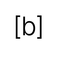 Bracket logo - Similar company to Wild Hue™