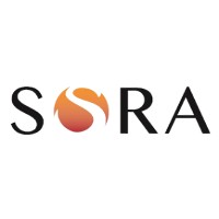 Sora Ventures Llc