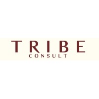Tribe Consult logo - Similar company to Tribe Connect