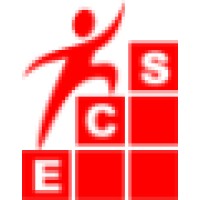 e-Centric Consultancy Services Pvt. Ltd. logo - Similar company to Roovel Solutions Pvt Ltd