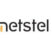 Netstel Software Marcin Matusiak Spółka Jawna logo - Similar company to Performance Labs Polska