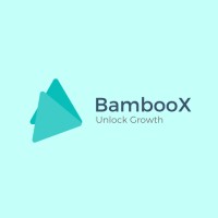 BambooX logo - Similar company to Big Bang Factory