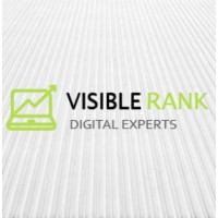 Visible Rank - Digital Experts logo - Similar company to 20-80 Solutions