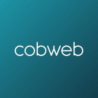 Cobweb logo - Similar company to Jetpatch