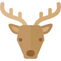 Rokka LLC logo - Similar company to Talenthub.Jp