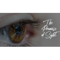Promise of Sight logo - Similar company to Rob Spedding Ltd