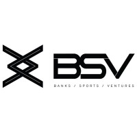 BANKS SPORTS VENTURES LLC logo - Similar company to Dubious Entertainment