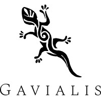 Gavialis logo - Similar company to Maximove Translations